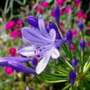 ヒメ日記 2025/06/19 04:04 投稿 ひかり 美熟女倶楽部Hip's 春日部店