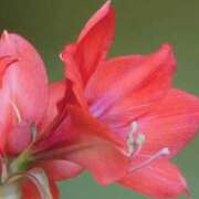 ヒメ日記 2025/06/21 06:34 投稿 ひかり 美熟女倶楽部Hip's 春日部店