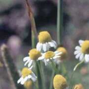 ヒメ日記 2025/06/23 06:54 投稿 ひかり 美熟女倶楽部Hip's 春日部店