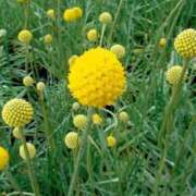 ヒメ日記 2025/06/25 03:44 投稿 ひかり 美熟女倶楽部Hip's 春日部店