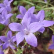 ヒメ日記 2025/06/28 04:04 投稿 ひかり 美熟女倶楽部Hip's 春日部店