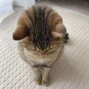 ヒメ日記 2025/07/01 07:34 投稿 ひかり 美熟女倶楽部Hip's 春日部店