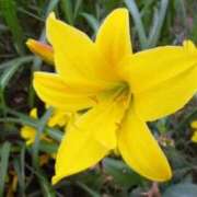 ヒメ日記 2025/07/09 07:34 投稿 ひかり 美熟女倶楽部Hip's 春日部店