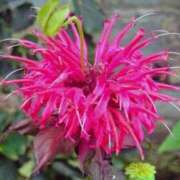 ヒメ日記 2025/07/10 04:44 投稿 ひかり 美熟女倶楽部Hip's 春日部店