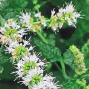 ヒメ日記 2025/07/11 12:44 投稿 ひかり 美熟女倶楽部Hip's 春日部店