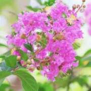 ヒメ日記 2025/07/18 03:44 投稿 ひかり 美熟女倶楽部Hip's 春日部店