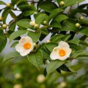 ヒメ日記 2025/07/22 04:04 投稿 ひかり 美熟女倶楽部Hip's 春日部店