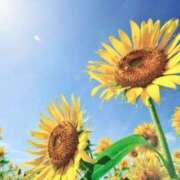 ヒメ日記 2025/07/27 06:44 投稿 ひかり 美熟女倶楽部Hip's 春日部店