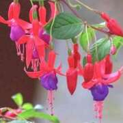 ヒメ日記 2025/07/31 03:44 投稿 ひかり 美熟女倶楽部Hip's 春日部店