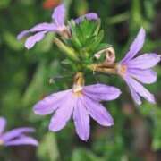 ヒメ日記 2025/08/18 03:04 投稿 ひかり 美熟女倶楽部Hip's 春日部店