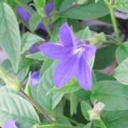 ヒメ日記 2025/08/21 05:14 投稿 ひかり 美熟女倶楽部Hip's 春日部店