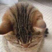 ヒメ日記 2025/08/22 08:14 投稿 ひかり 美熟女倶楽部Hip's 春日部店