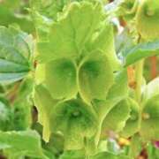 ヒメ日記 2025/08/23 04:04 投稿 ひかり 美熟女倶楽部Hip's 春日部店