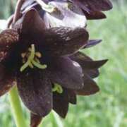 ヒメ日記 2025/08/28 03:54 投稿 ひかり 美熟女倶楽部Hip's 春日部店