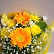 ヒメ日記 2025/08/31 21:44 投稿 ひかり 美熟女倶楽部Hip's 春日部店