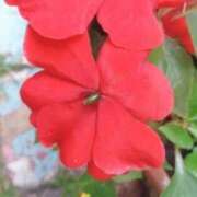 ヒメ日記 2025/09/01 05:24 投稿 ひかり 美熟女倶楽部Hip's 春日部店