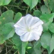 ヒメ日記 2025/09/05 04:54 投稿 ひかり 美熟女倶楽部Hip's 春日部店