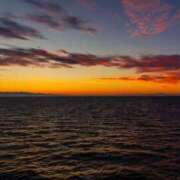 ヒメ日記 2025/09/07 04:24 投稿 ひかり 美熟女倶楽部Hip's 春日部店