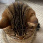 ヒメ日記 2025/09/16 09:04 投稿 ひかり 美熟女倶楽部Hip's 春日部店