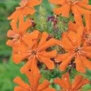 ヒメ日記 2025/09/17 08:04 投稿 ひかり 美熟女倶楽部Hip's 春日部店