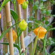 ヒメ日記 2025/09/18 08:05 投稿 ひかり 美熟女倶楽部Hip's 春日部店