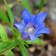 ヒメ日記 2025/09/19 03:54 投稿 ひかり 美熟女倶楽部Hip's 春日部店