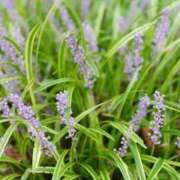 ヒメ日記 2025/09/20 03:54 投稿 ひかり 美熟女倶楽部Hip's 春日部店