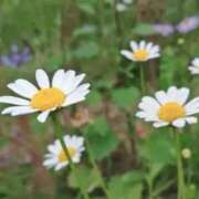 ヒメ日記 2025/09/23 10:14 投稿 ひかり 美熟女倶楽部Hip's 春日部店