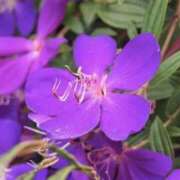 ヒメ日記 2025/09/25 08:04 投稿 ひかり 美熟女倶楽部Hip's 春日部店