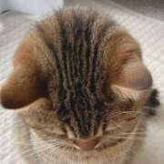 ヒメ日記 2025/09/25 09:10 投稿 ひかり 美熟女倶楽部Hip's 春日部店