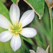 ヒメ日記 2025/09/30 04:14 投稿 ひかり 美熟女倶楽部Hip's 春日部店