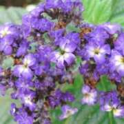 ヒメ日記 2025/10/01 04:14 投稿 ひかり 美熟女倶楽部Hip's 春日部店