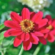 ヒメ日記 2025/10/03 05:24 投稿 ひかり 美熟女倶楽部Hip's 春日部店