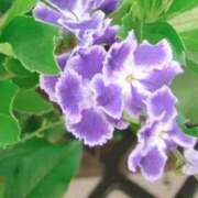 ヒメ日記 2025/10/04 03:44 投稿 ひかり 美熟女倶楽部Hip's 春日部店