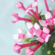 ヒメ日記 2025/10/10 03:12 投稿 ひかり 美熟女倶楽部Hip's 春日部店