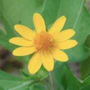 ヒメ日記 2025/10/18 03:12 投稿 ひかり 美熟女倶楽部Hip's 春日部店