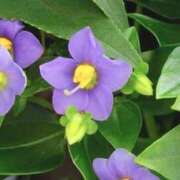 ヒメ日記 2025/10/20 03:22 投稿 ひかり 美熟女倶楽部Hip's 春日部店