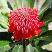 ヒメ日記 2025/10/21 04:22 投稿 ひかり 美熟女倶楽部Hip's 春日部店