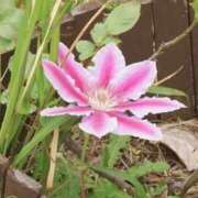 ヒメ日記 2025/10/22 03:42 投稿 ひかり 美熟女倶楽部Hip's 春日部店