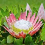 ヒメ日記 2025/10/24 03:42 投稿 ひかり 美熟女倶楽部Hip's 春日部店