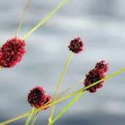 ヒメ日記 2025/10/30 05:12 投稿 ひかり 美熟女倶楽部Hip's 春日部店