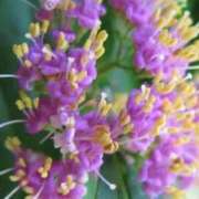 ヒメ日記 2025/11/06 08:23 投稿 ひかり 美熟女倶楽部Hip's 春日部店