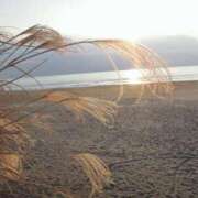 ヒメ日記 2025/11/08 05:22 投稿 ひかり 美熟女倶楽部Hip's 春日部店