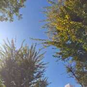 ヒメ日記 2025/11/10 13:02 投稿 ひかり 美熟女倶楽部Hip's 春日部店