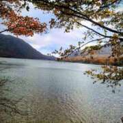 ヒメ日記 2025/11/13 06:52 投稿 ひかり 美熟女倶楽部Hip's 春日部店