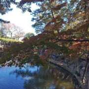 ヒメ日記 2025/11/24 12:27 投稿 ひかり 美熟女倶楽部Hip's 春日部店