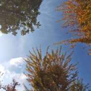 ヒメ日記 2025/11/27 12:11 投稿 ひかり 美熟女倶楽部Hip's 春日部店