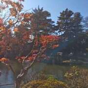 ヒメ日記 2025/12/01 14:32 投稿 ひかり 美熟女倶楽部Hip's 春日部店