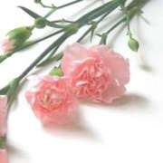 ヒメ日記 2025/12/02 04:02 投稿 ひかり 美熟女倶楽部Hip's 春日部店