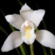 ヒメ日記 2025/12/05 04:52 投稿 ひかり 美熟女倶楽部Hip's 春日部店